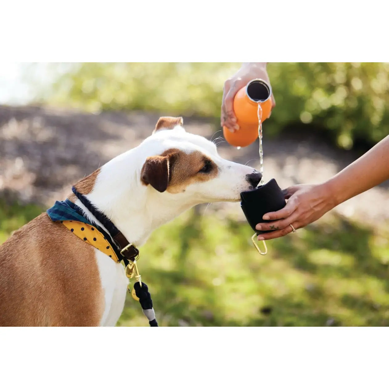 SLURP 'N GO 20oz. dog water bottle