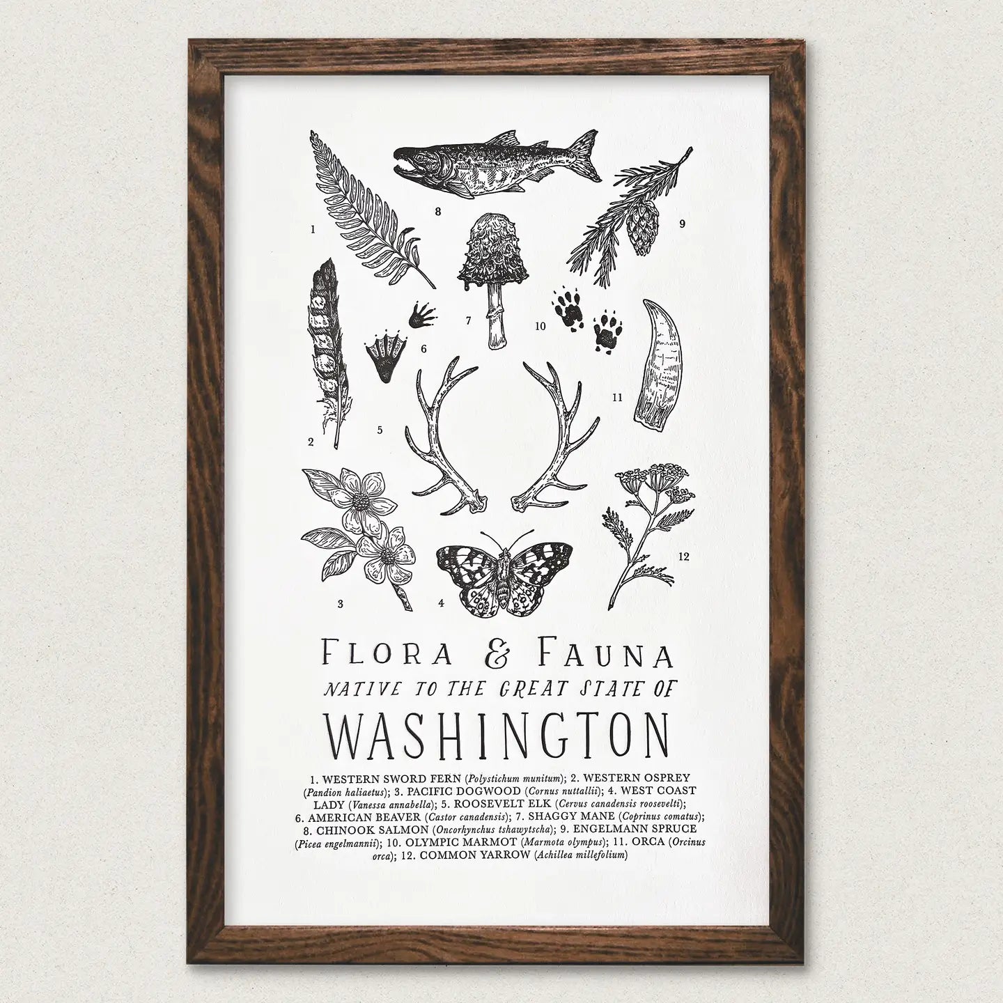 WA FIELD GUIDE poster