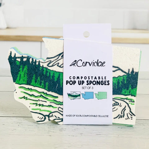 WA COMPOSTABLE 3-sponge set
