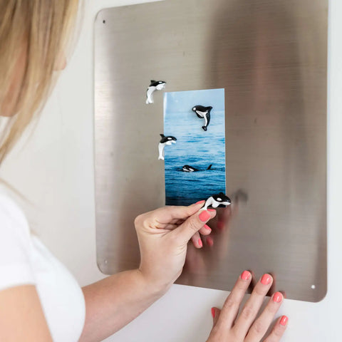 ORCA magnets 4-pack