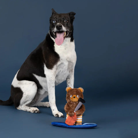 WATER YOU WAITING FOR? dog toy
