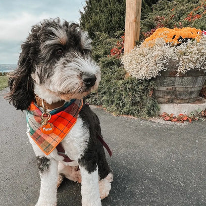 BONEYARD dog bandana