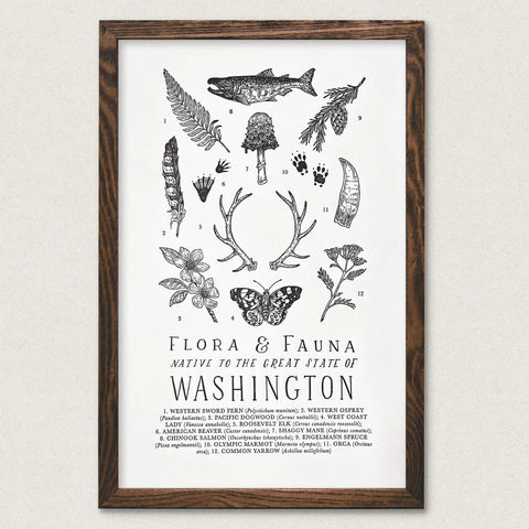 WA FIELD GUIDE poster