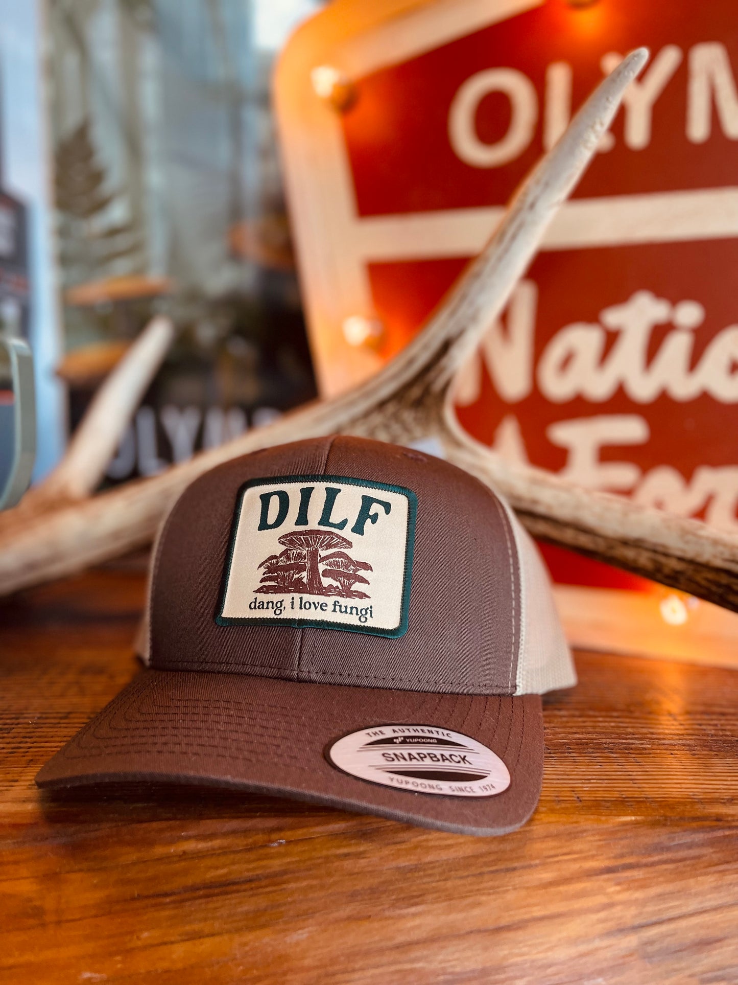 DILF (DANG, I LOVE FUNGI) patch hat