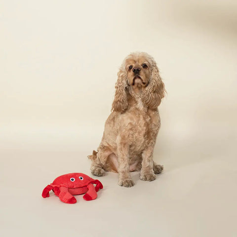 CRABBY CAKES plush dog toy