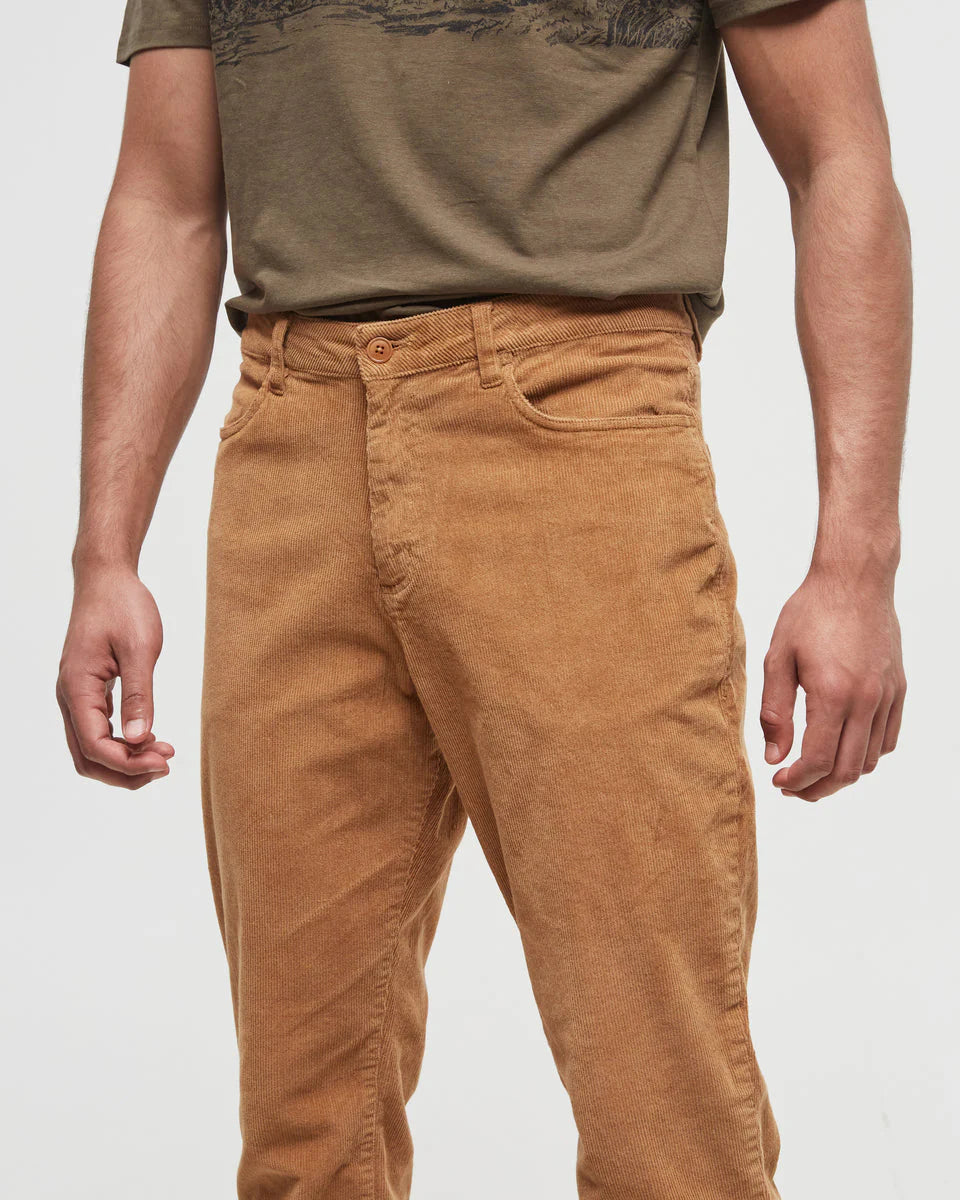 ECOSTRETCH men's corduroy pant