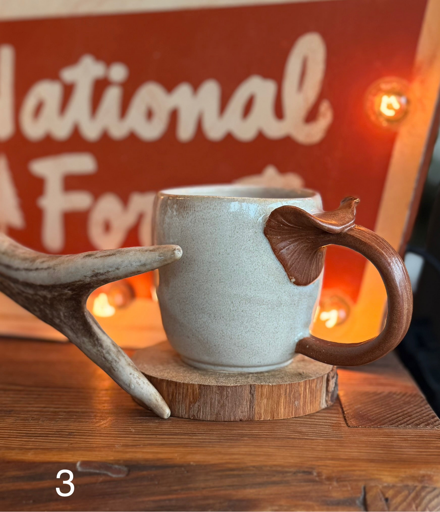 OLYMPIC PENINSULA MUSHROOM mugs