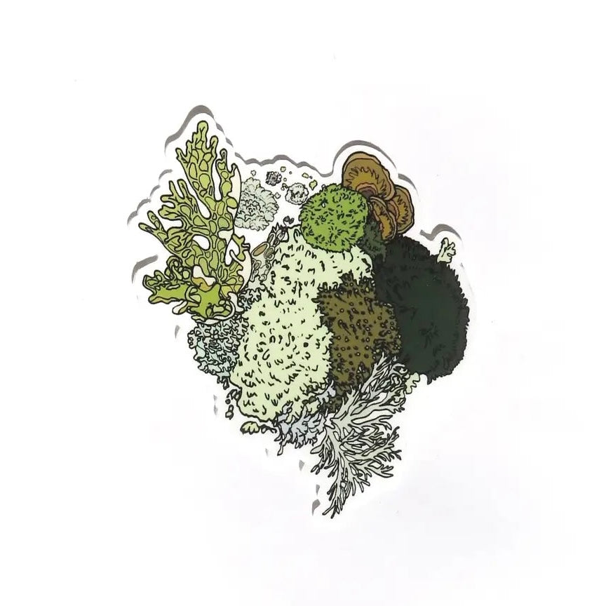 LICHEN AND MOSS sticker