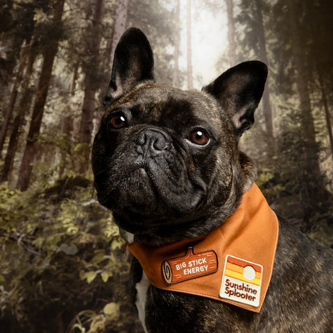 BIG STICK ENERGY pup patch