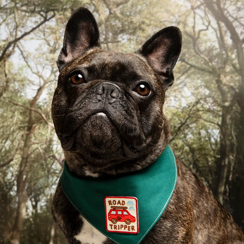 ROAD TRIPPER pup patch