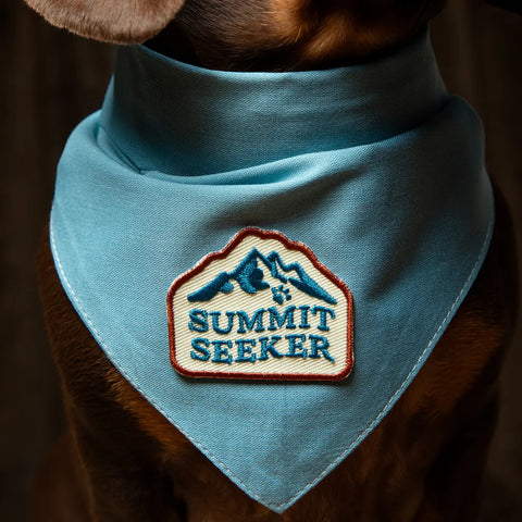 SUMMIT SEEKER pup patch