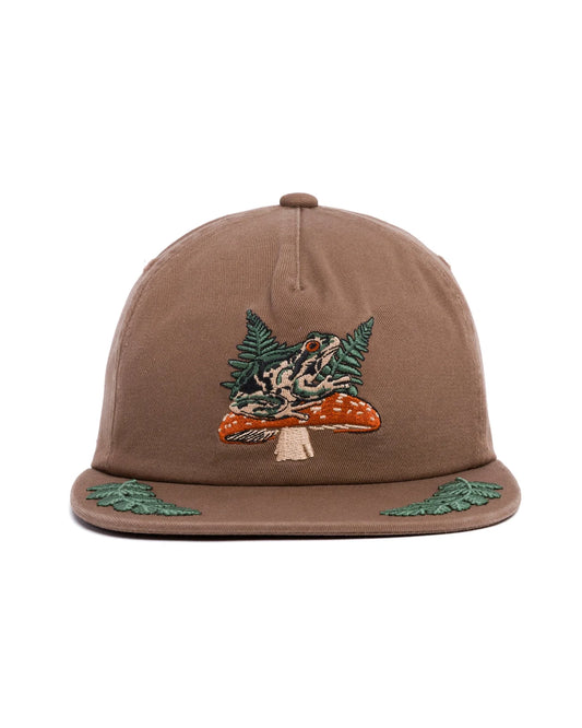 ROOTED IN NATURE embroidered hat