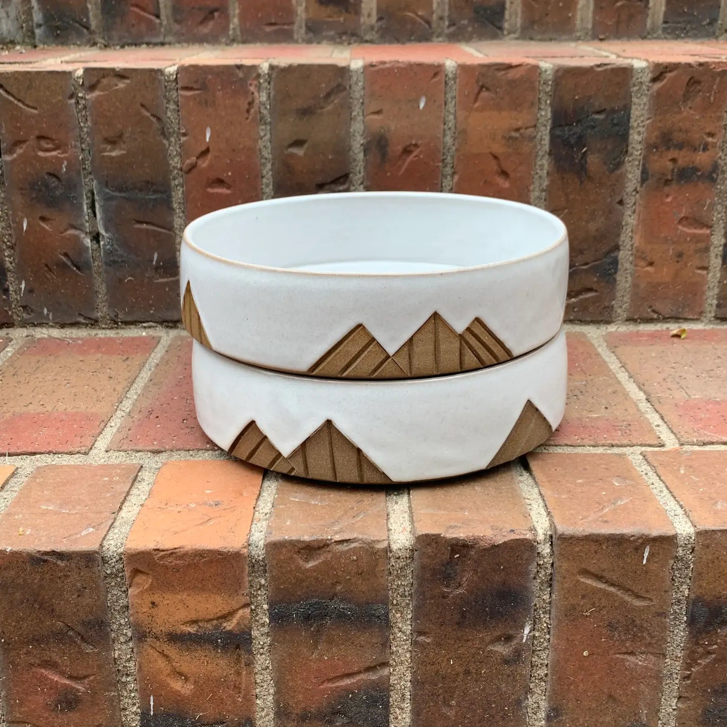 MOUNTAIN HOUND ceramic dog dish