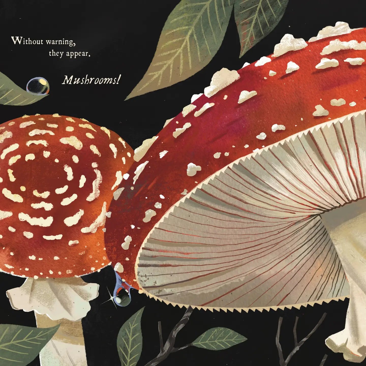 MUSHROOM RAIN picture book