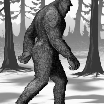 THE SASQUATCH SEEKER’S field manual