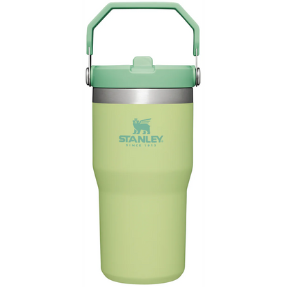 STANLEY ICEFLOW flip straw 20oz. tumbler