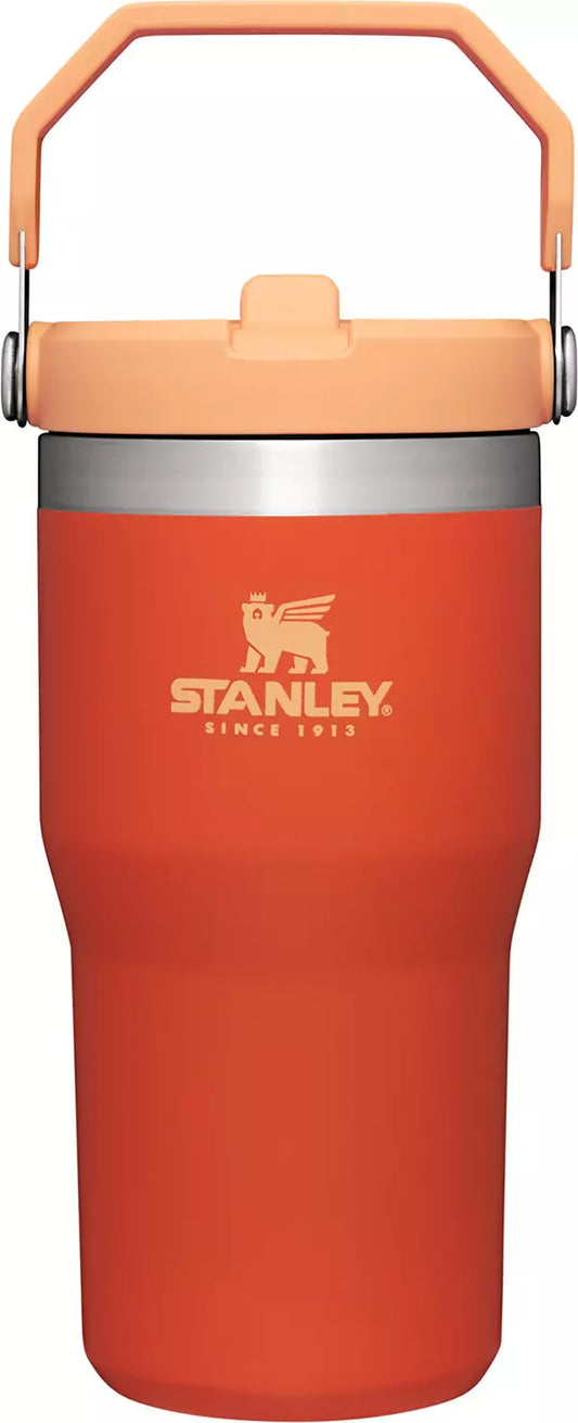 STANLEY ICEFLOW flip straw 20oz. tumbler