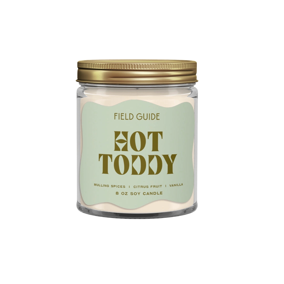 HOT TODDY soy candle