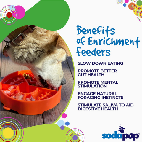 GREAT OUTDOORS slow feed dog bowl