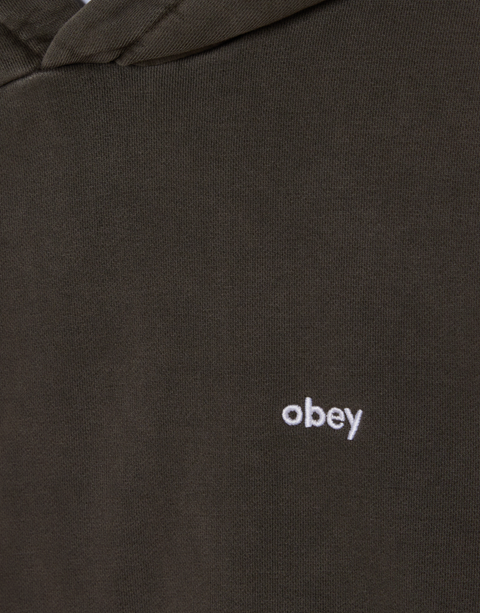 LOWERCASE pigment hoodie