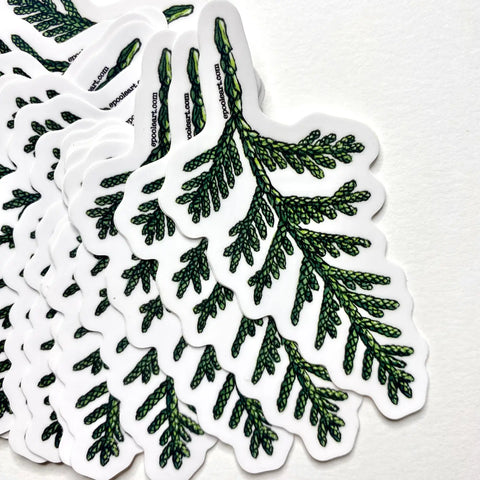 CEDAR BRANCH vinyl sticker