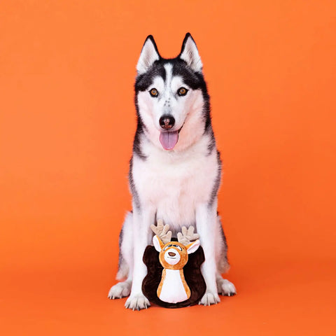 OH DEER! plush dog toy
