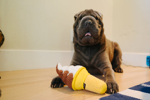SWIRL CONE dog toy
