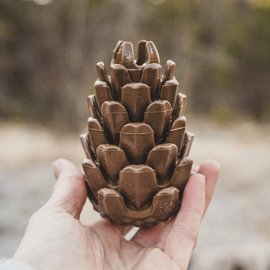 PINECONE PUZZLE dog toy