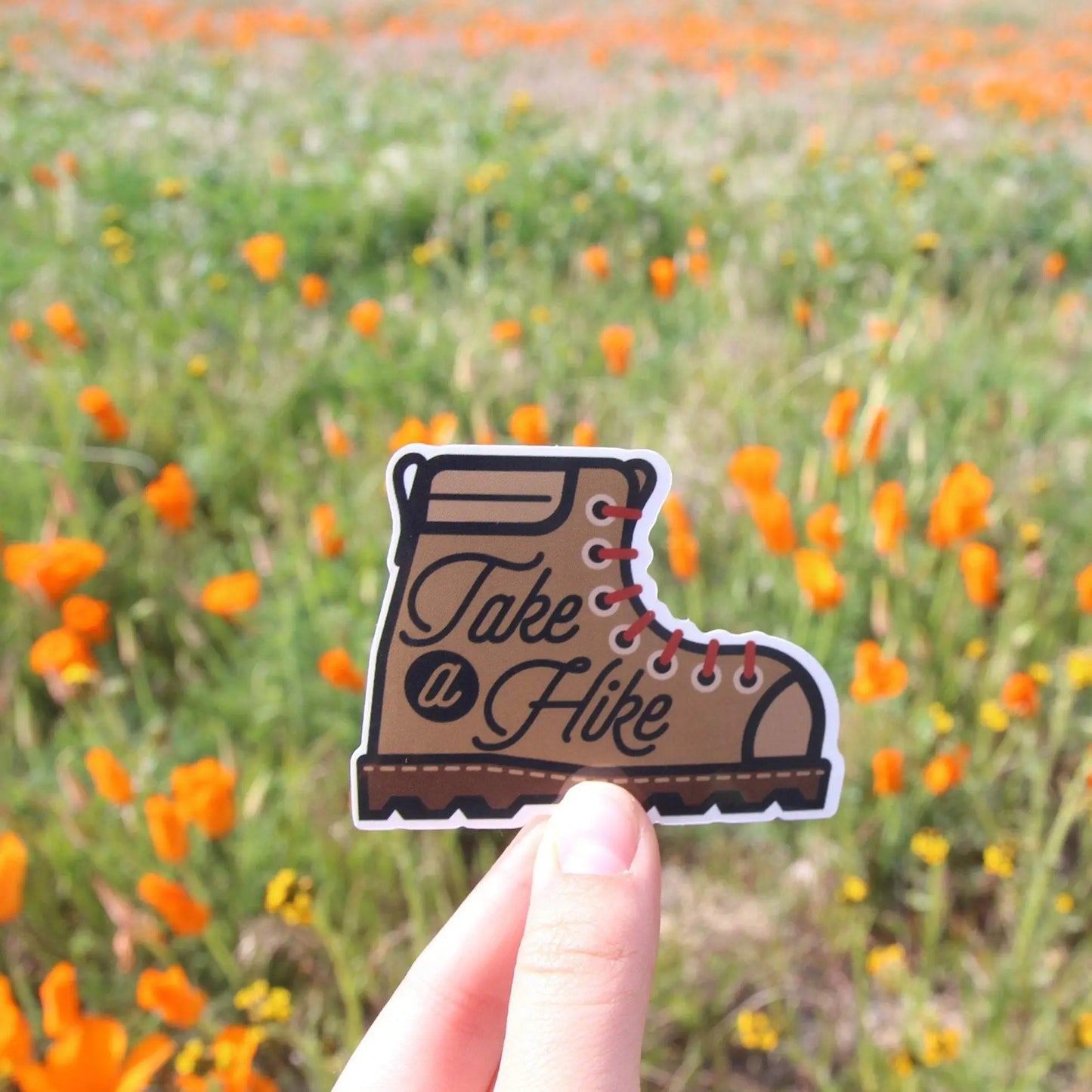 TAKE A HIKE sticker